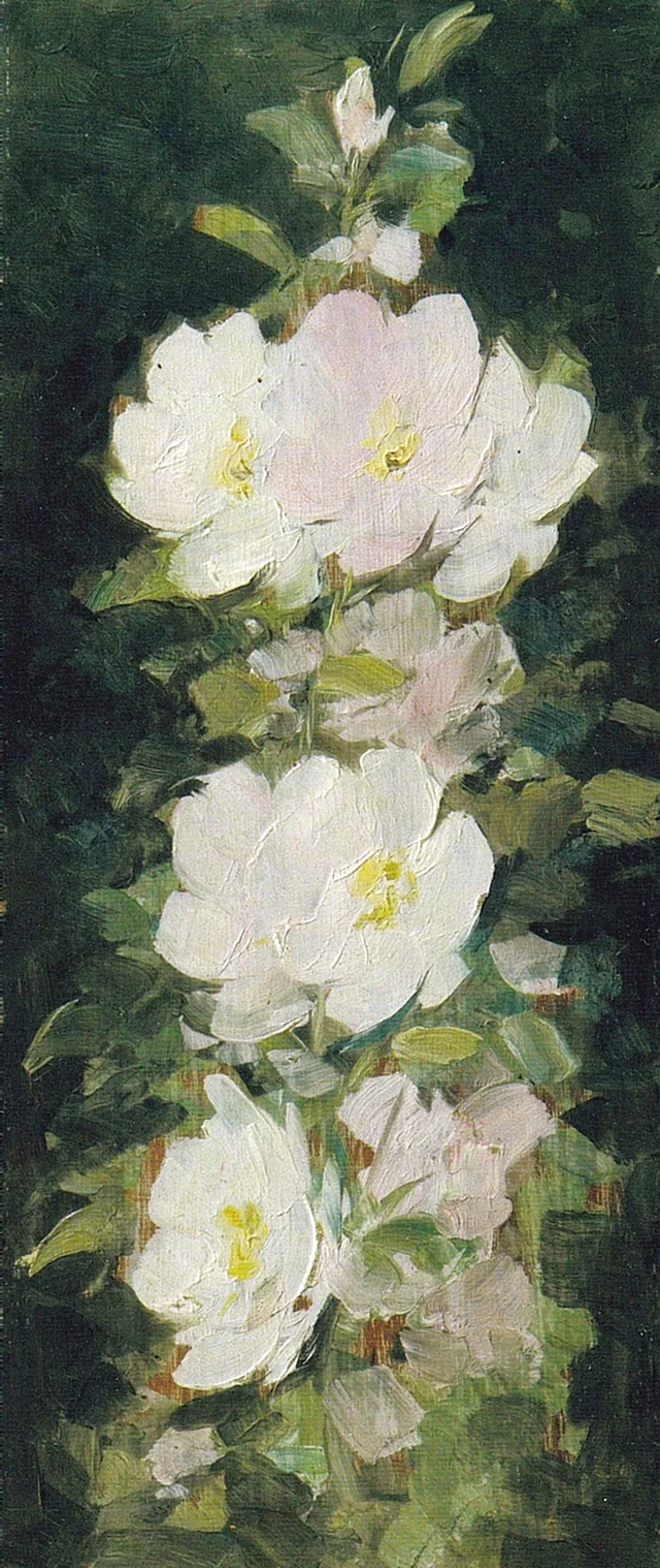 Roses trémières