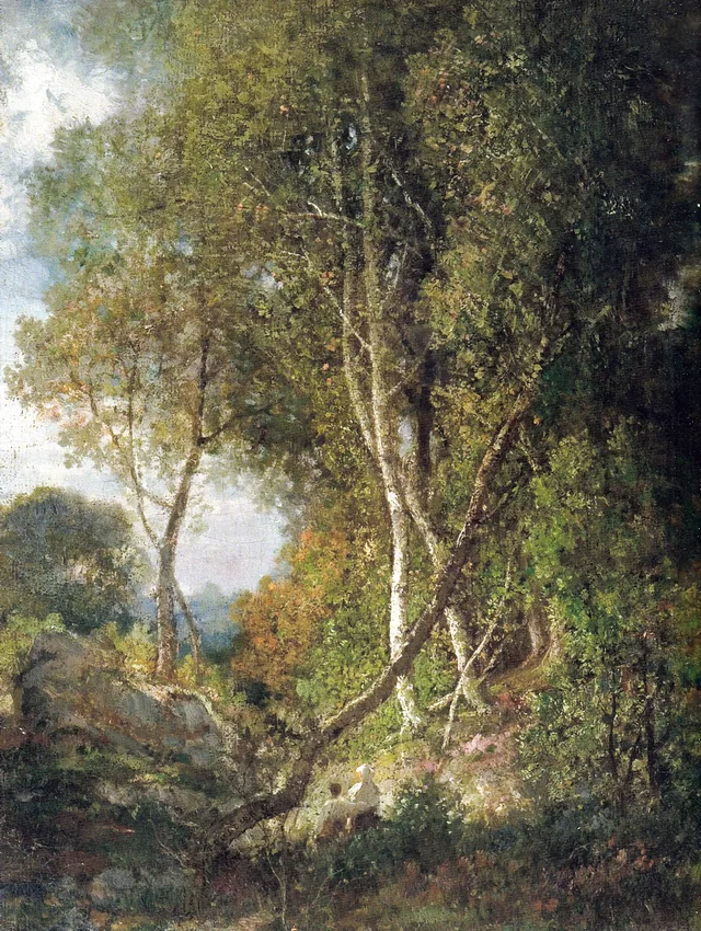 Birches and Rocks