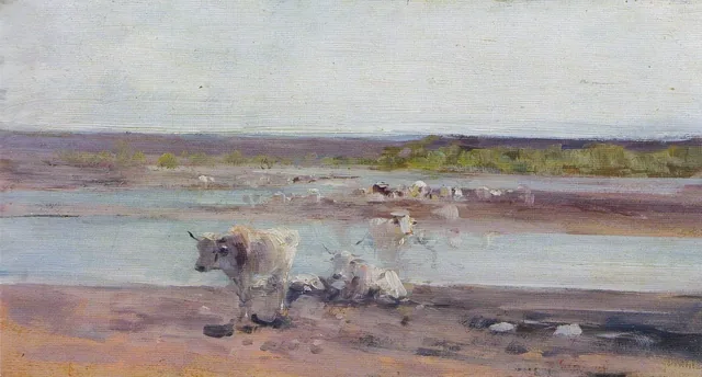 Troupeau sortant de l'eau
