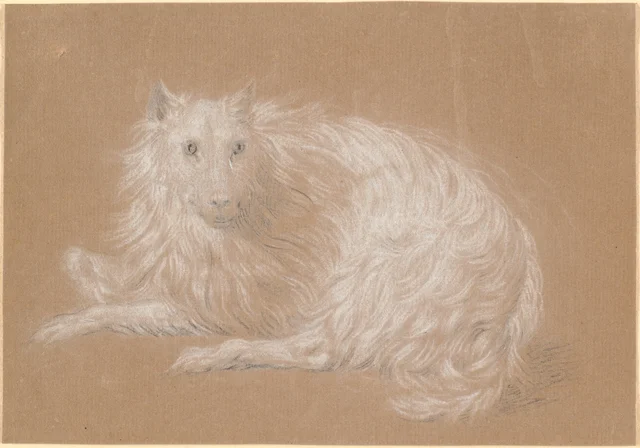 横たわる長毛の犬