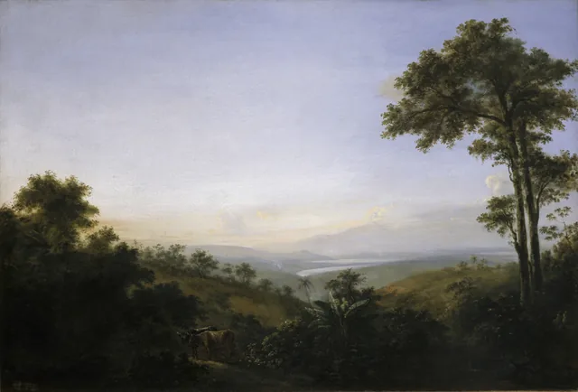View of the Road of Quebra Chángala in the Alto da Boa Vista, Nicolas-Antoine Taunay