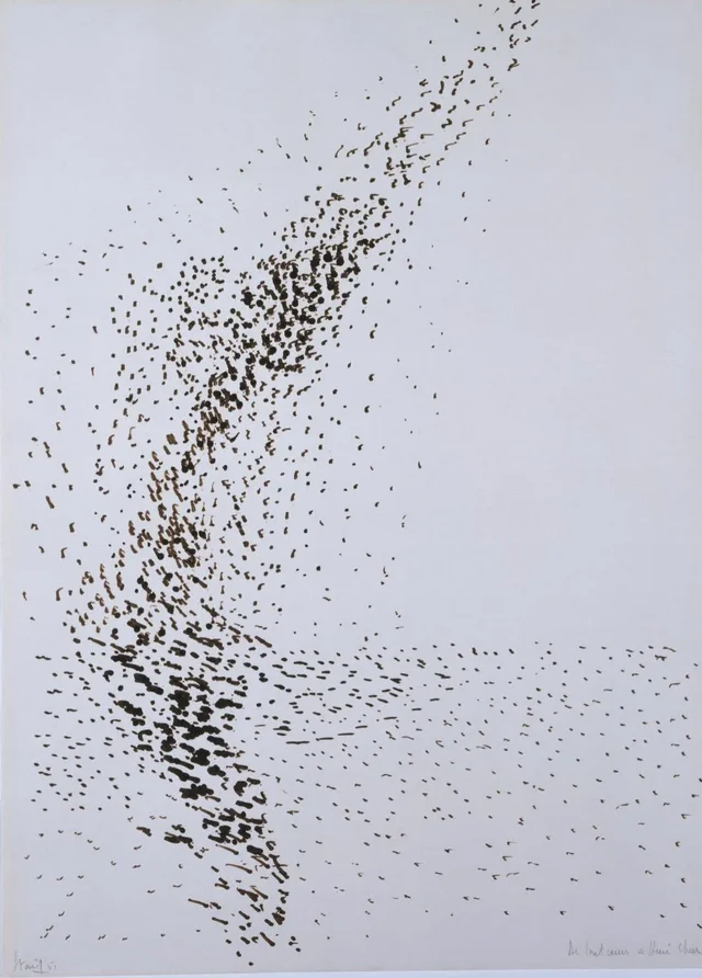 Oiseaux en vol