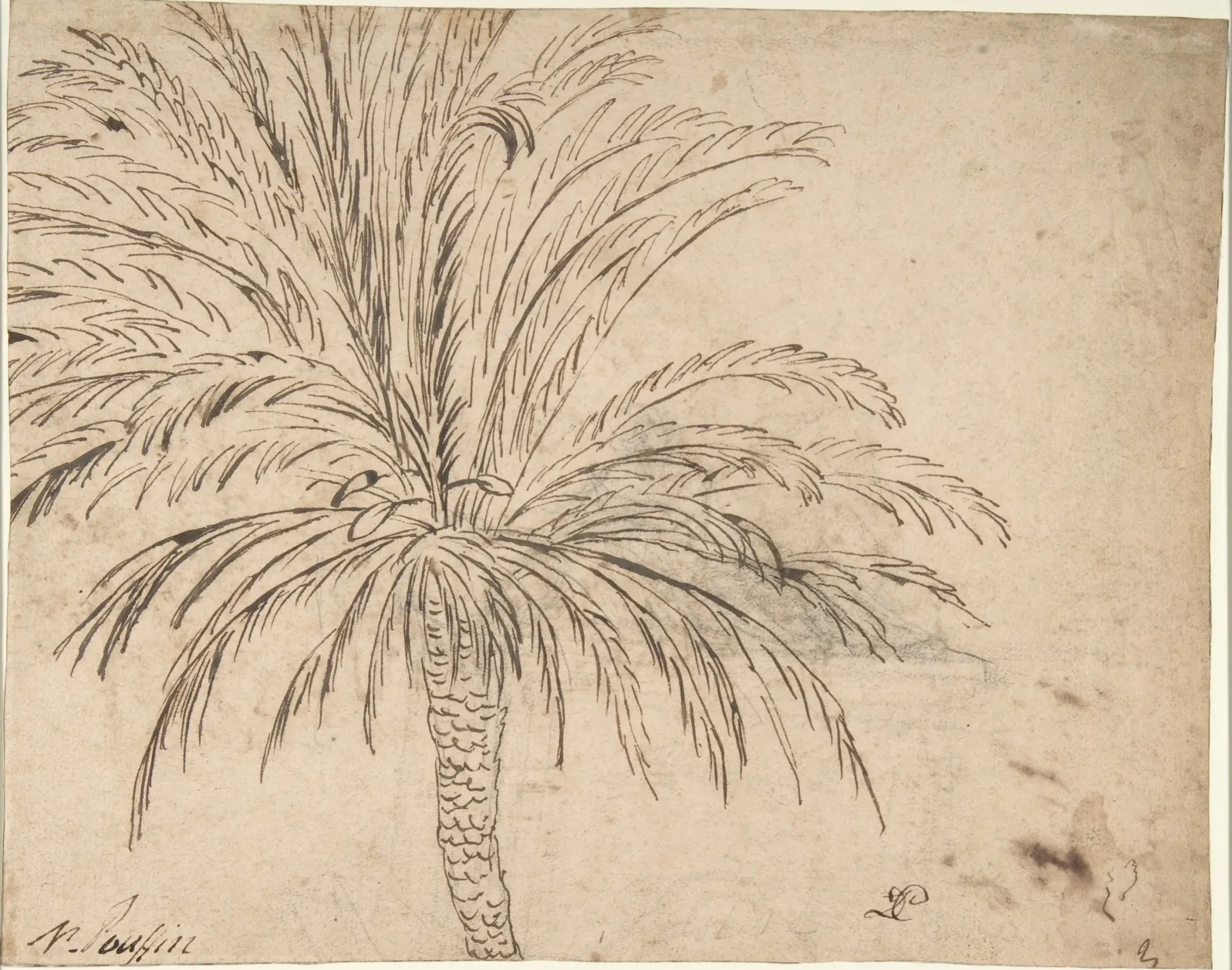 Study of a Palm Tree (recto); Mountain Landscape (verso), Nicolas Poussin
