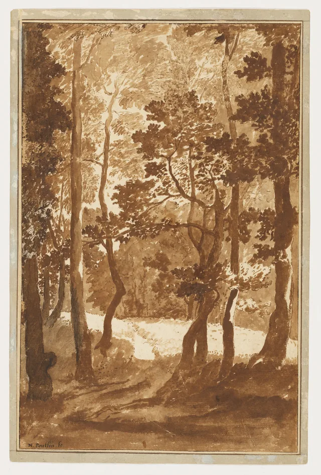 Chemin menant à une clairière