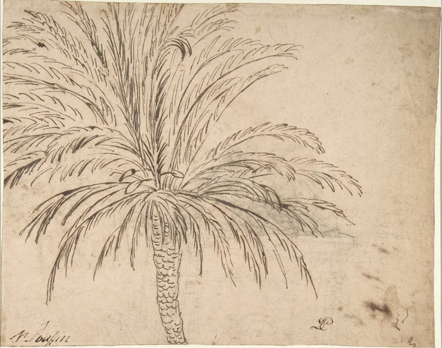 Étude de palmier (recto) ; Paysage de montagne (verso)