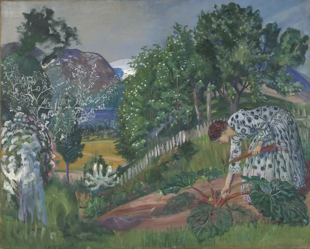 Soleil du matin sur la plate-bande de rhubarbe