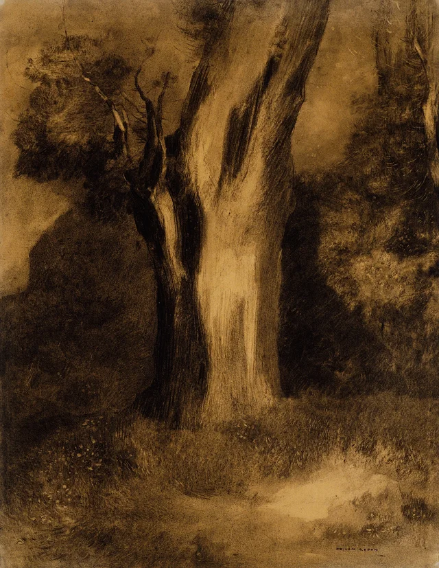 Árbol