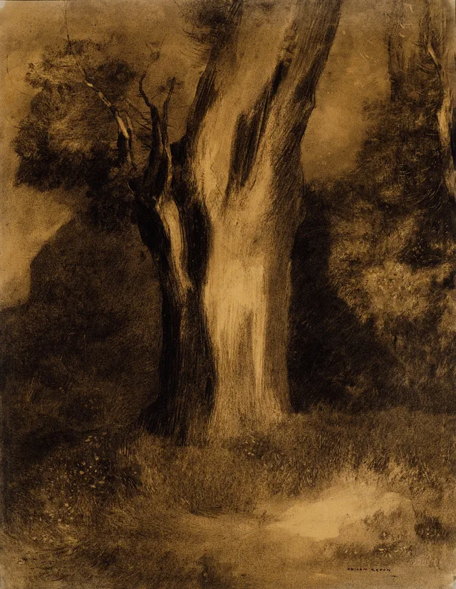 Arbre
