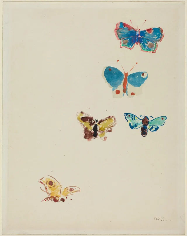 Cinq papillons