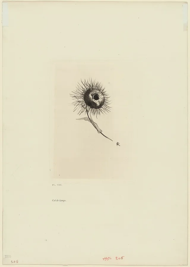 Tailpiece, plate 9 of 9