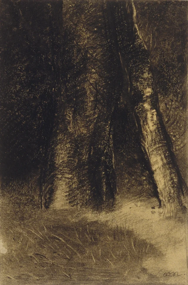 Boceto de árboles