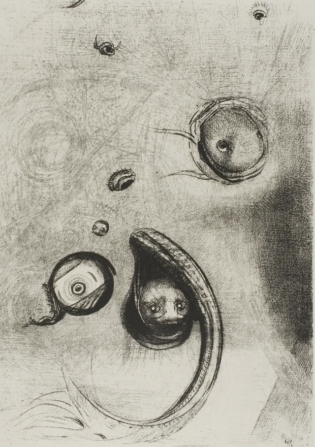 And that Eyes without Heads Were Floating Like Mollusks, plate 13 of 24