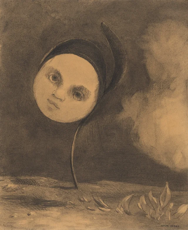 Flor extraña (Hermanita de los pobres)