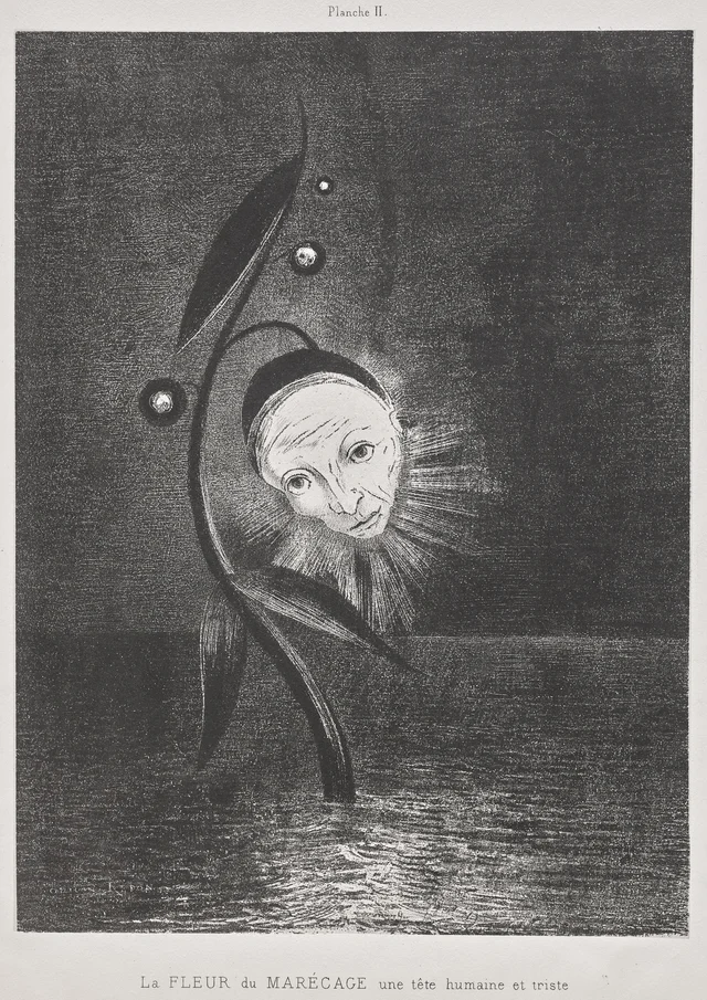The Marsh Flower, a Sad Human Head