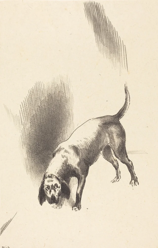 The Dog