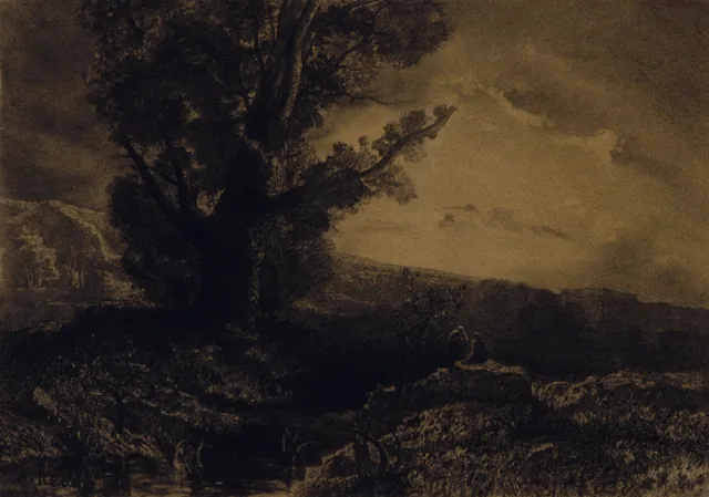 Paysage