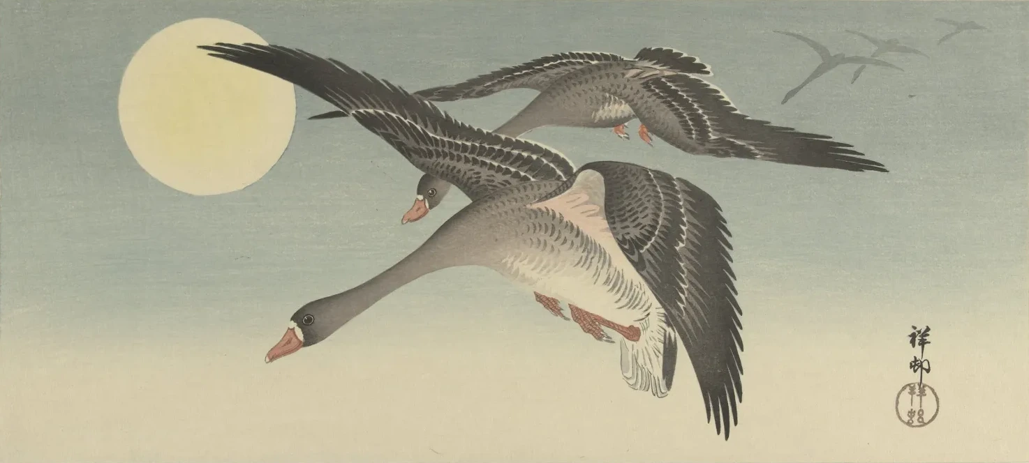 Geese at full moon, Ohara Koson