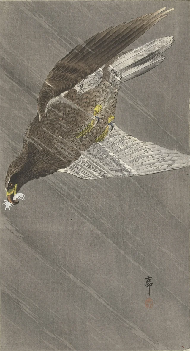 Aigle en vol descendant, Ohara Koson