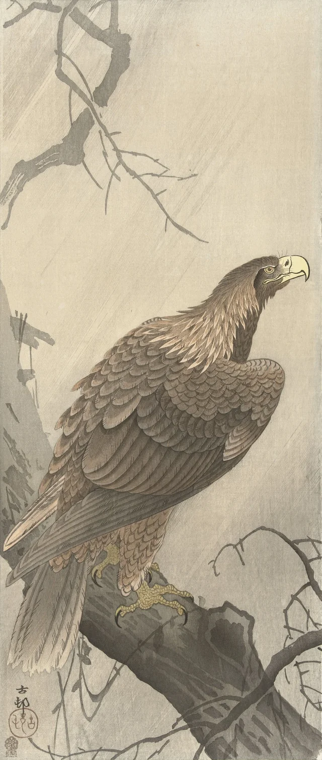 Águila sobre una rama de árbol, Ohara Koson