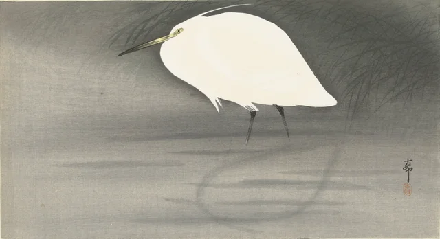 Aigrette
