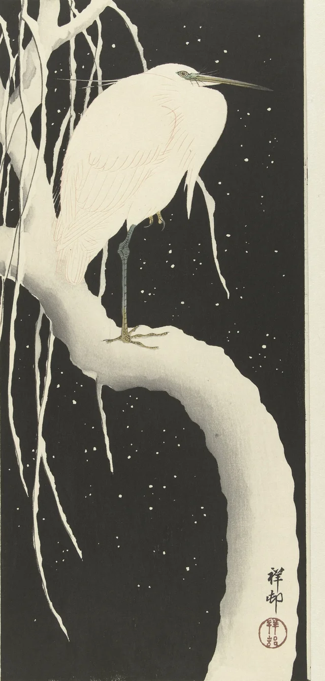 Aigrette dans la neige