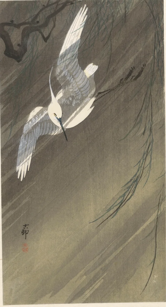 Aigrette dans la tempête