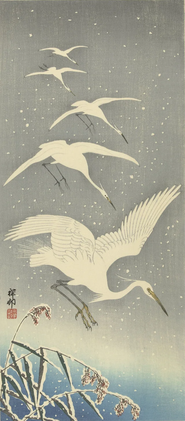 Garcetas descendiendo en la nieve, Ohara Koson