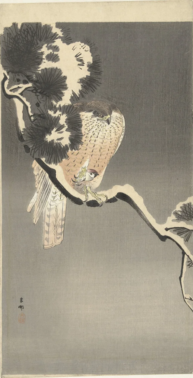 Autour avec un moineau, Ohara Koson