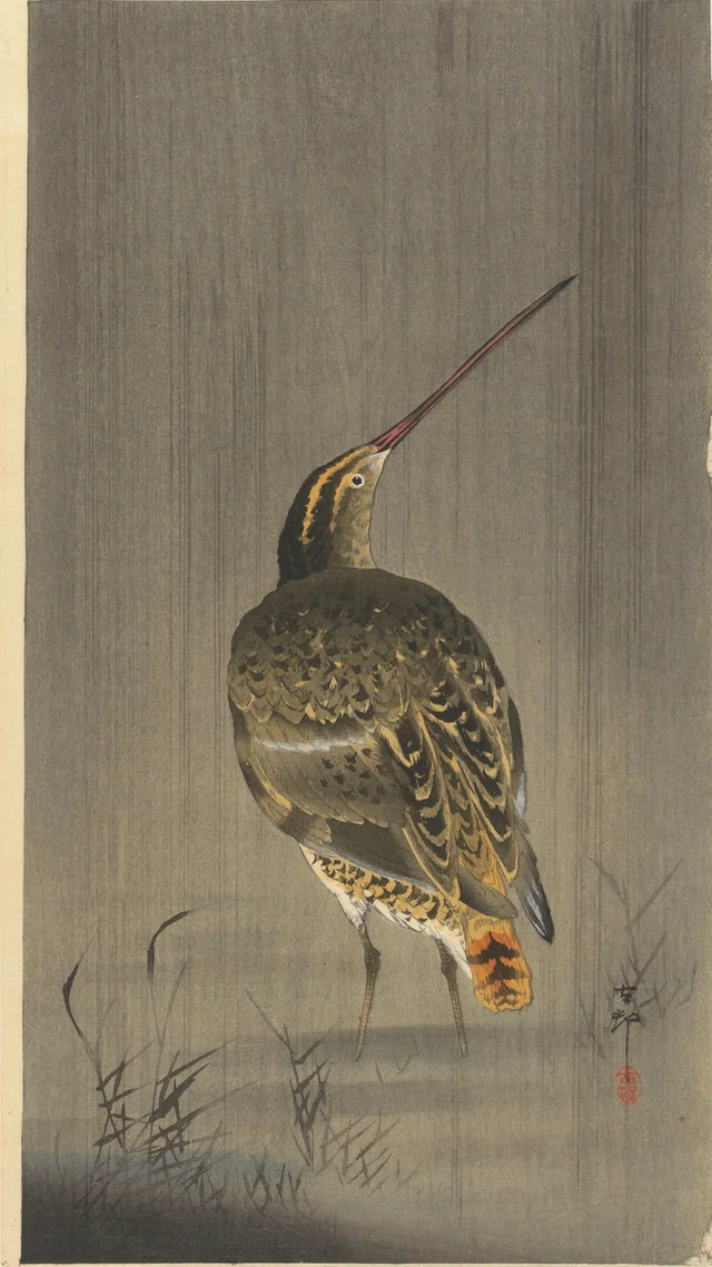 Snipe in the rain, Ohara Koson