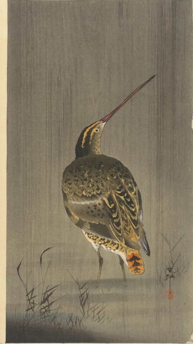 Bécassine sous la pluie, Ohara Koson