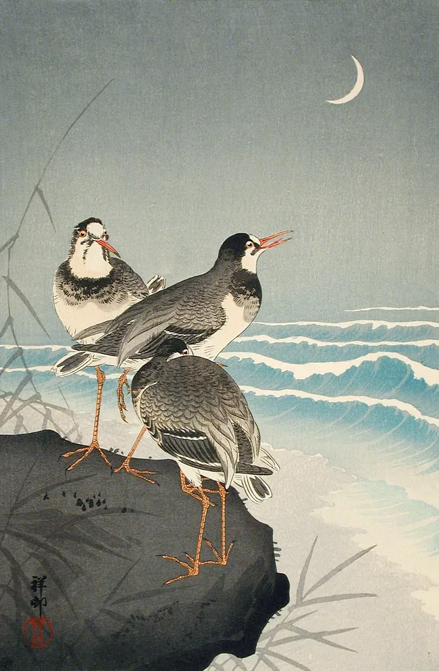 Agachadizas a orillas del mar, Ohara Koson