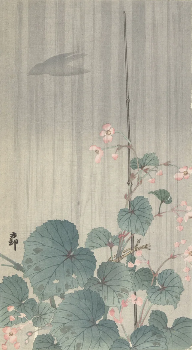 Bégonia sous la pluie, Ohara Koson