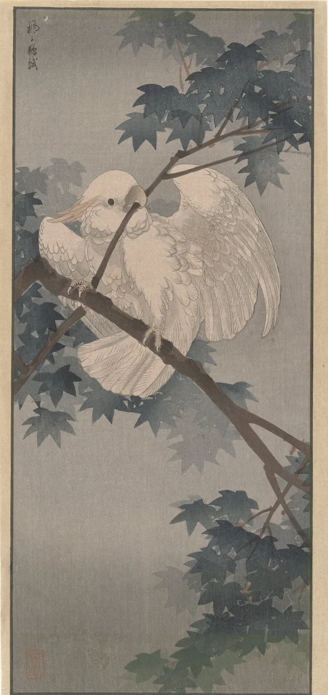 Sulphur-crested cockatoo in a tree, Ohara Koson