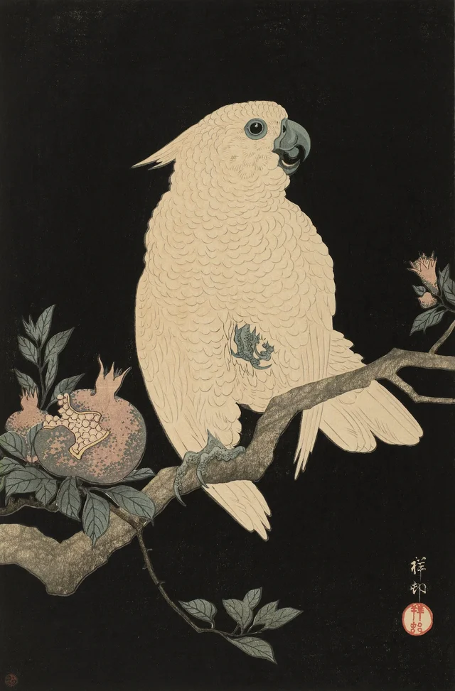 Cacatúa y granada, Ohara Koson