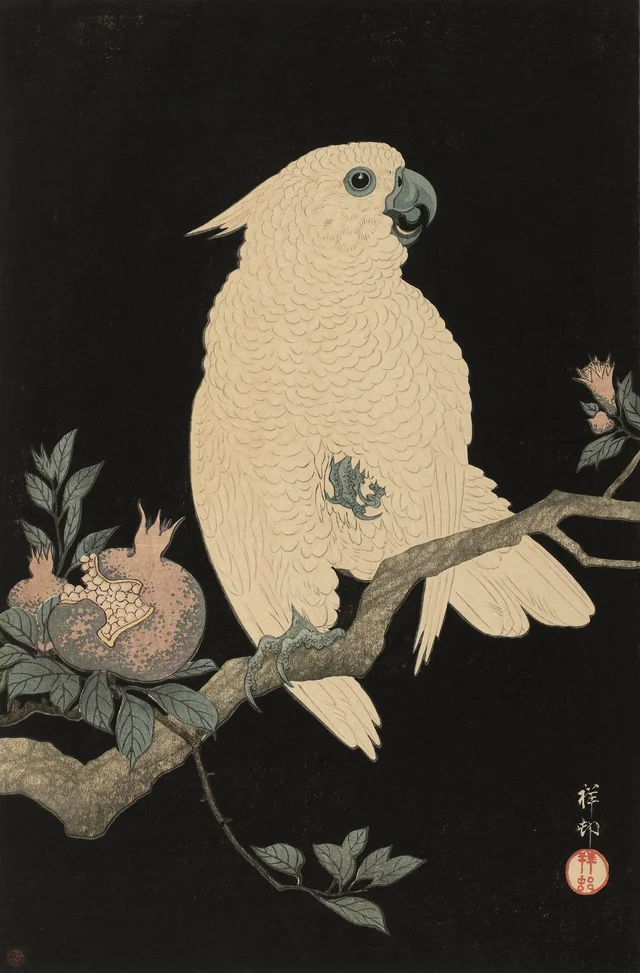 Cockatoo with pomegranate, Ohara Koson