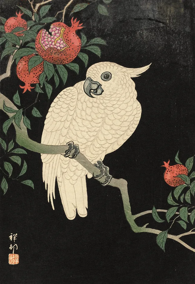 Cockatoo and Pomegranate, Ohara Koson