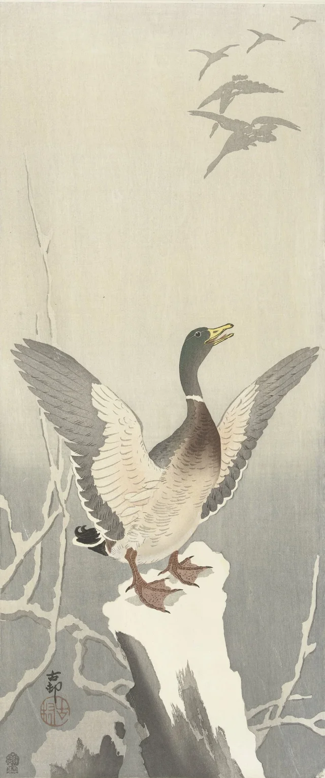 Canard sur une souche enneigée