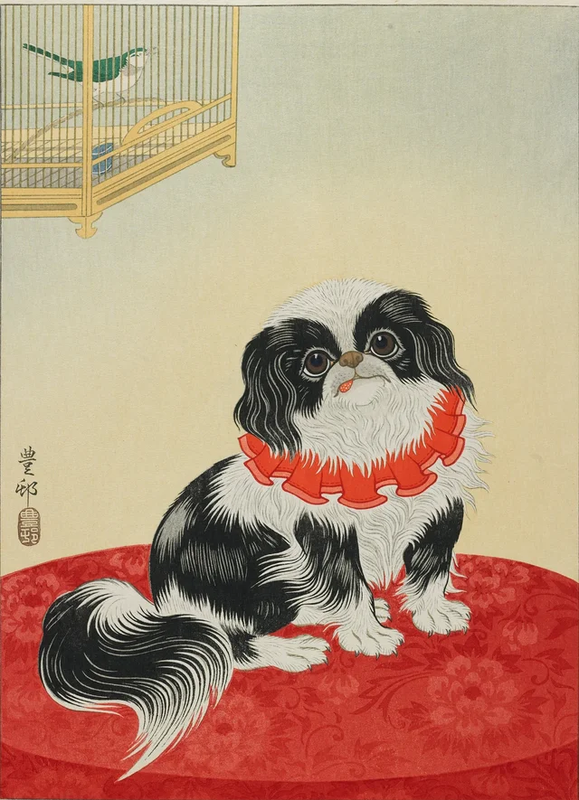 Pug Dog, Ohara Koson