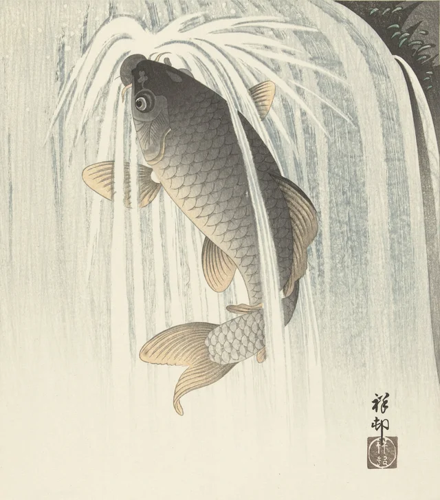 Carp, Ohara Koson