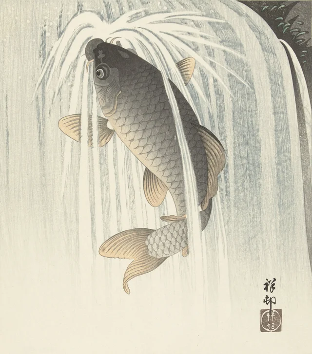 Carpa, Ohara Koson