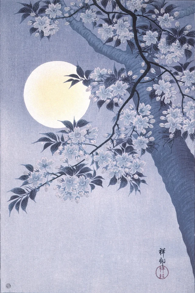 Cerisier en fleurs par une nuit de lune, Ohara Koson