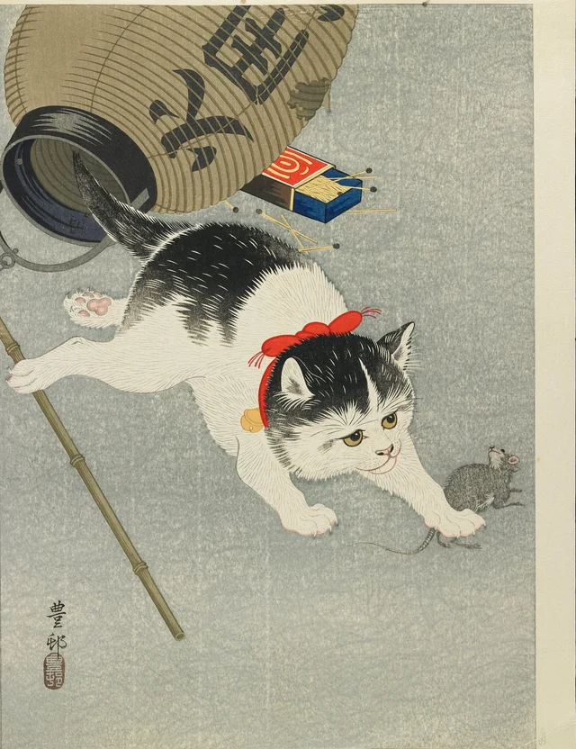 Chaton et lanterne
