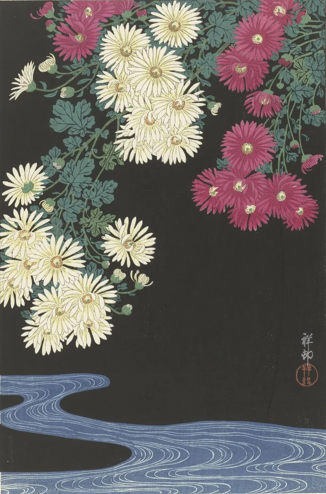 Chrysanthèmes et eau courante