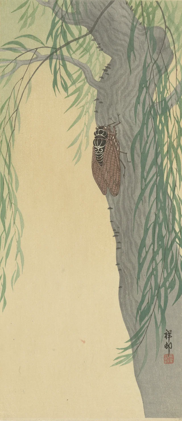 Cigarra sobre un árbol, Ohara Koson