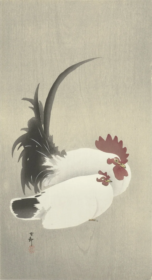 Coq et poule