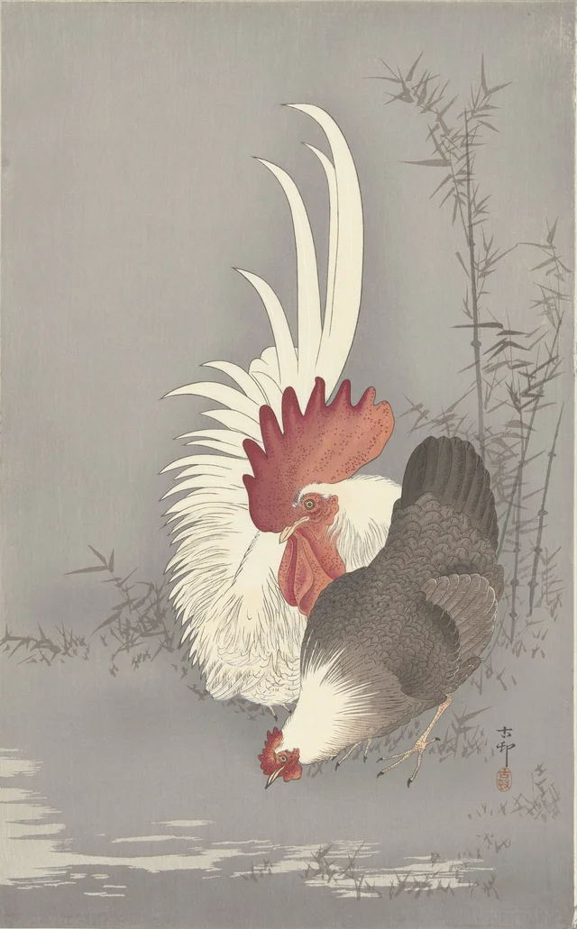 Coq et poule