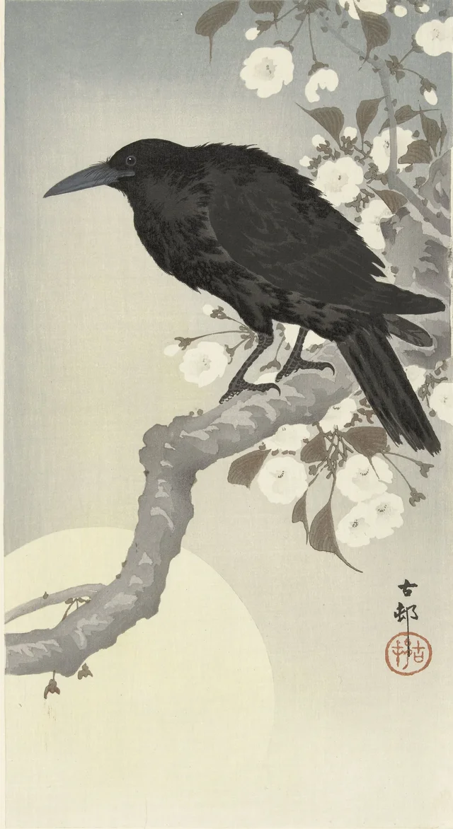 Corbeau à la pleine lune
