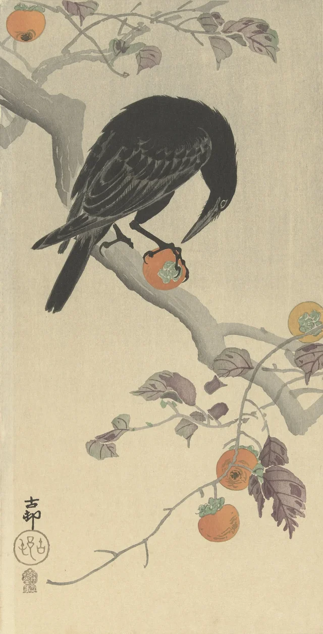 Corbeau et kaki