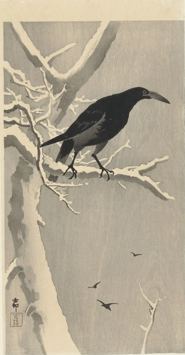 Corbeau sur une branche d'arbre enneigée