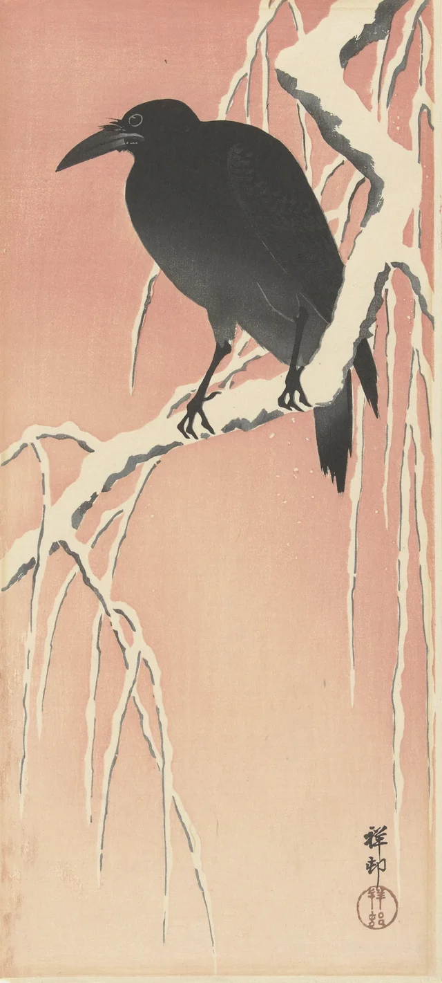 Corbeau sur une branche enneigée